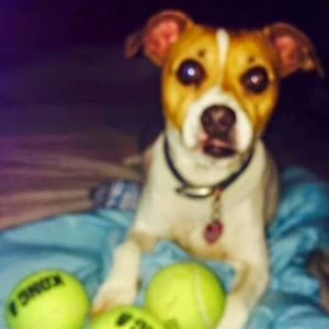 Meet your Posher, Robin